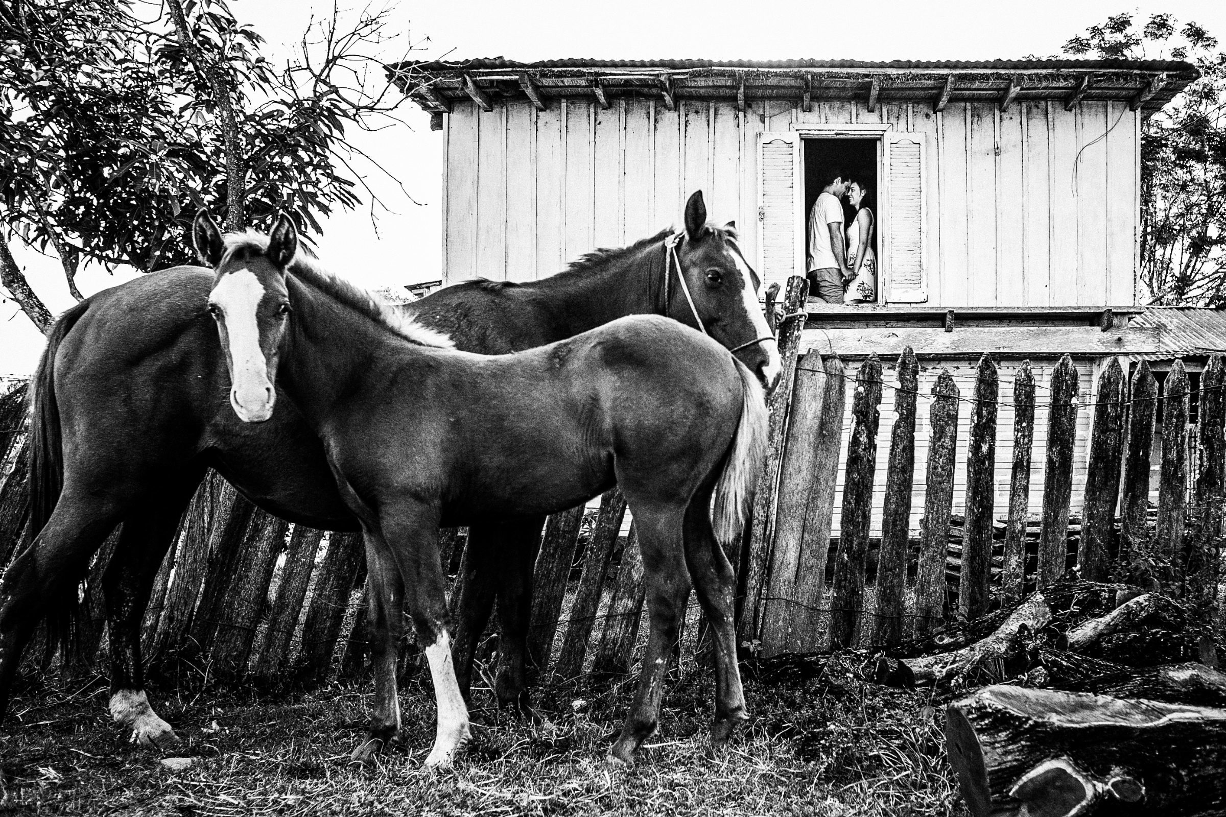 Foto de Diego Pozzo 45